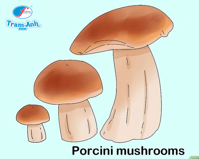 Tìm nấm thông (Porcini mushroom) với đặc điểm mũ nấm cỡ trung bình màu da hoặc màu nâu. 