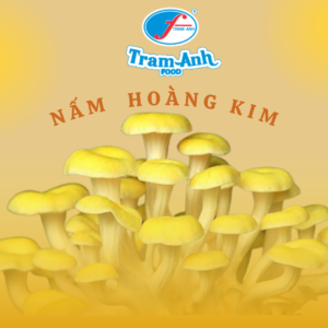 Nấm Hoàng Kim - Trâm ANh Food